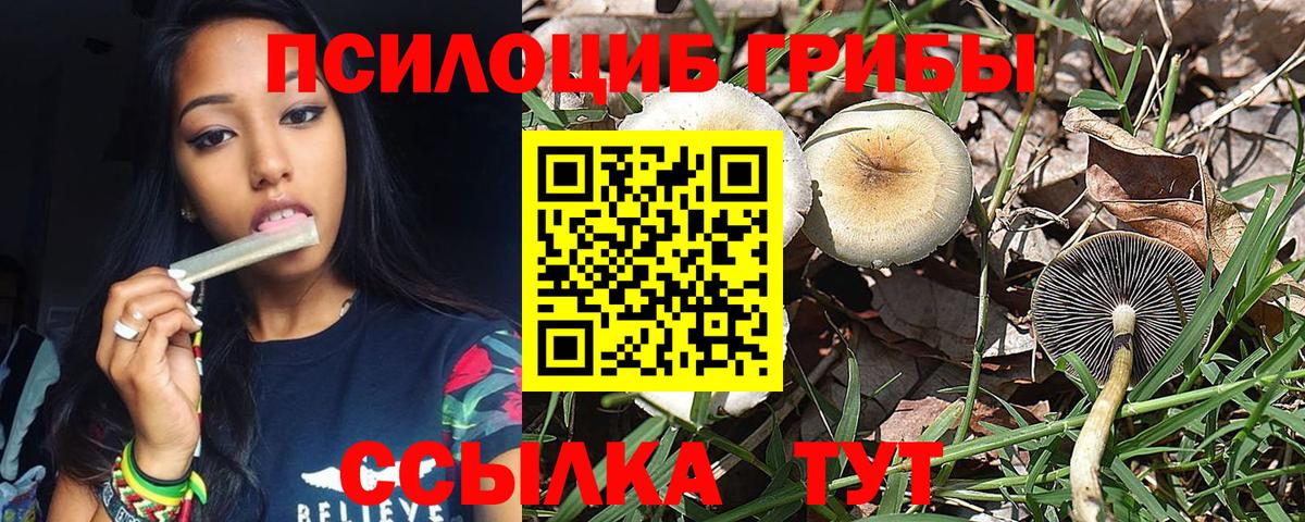 Галлюциногенные грибы Magic Shrooms  Псилоцибиновые грибы MAGIC MUSHROOMS  Борисоглебск  Вход с VPN 